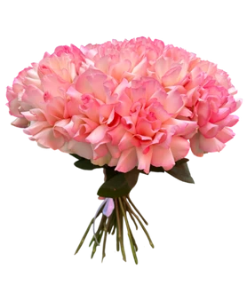 21 японская нежно-розовая роза.